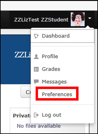 Preferences Dropdown